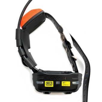 t5 mini ru_1